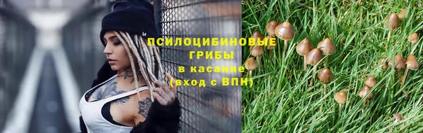 дживик Абинск