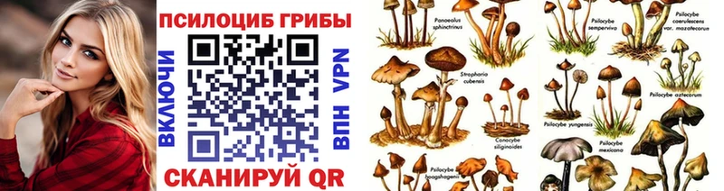 Псилоцибиновые грибы ЛСД  где купить наркотик  Шенкурск 